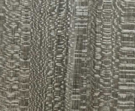 妙奇：法國(guó)尼斯